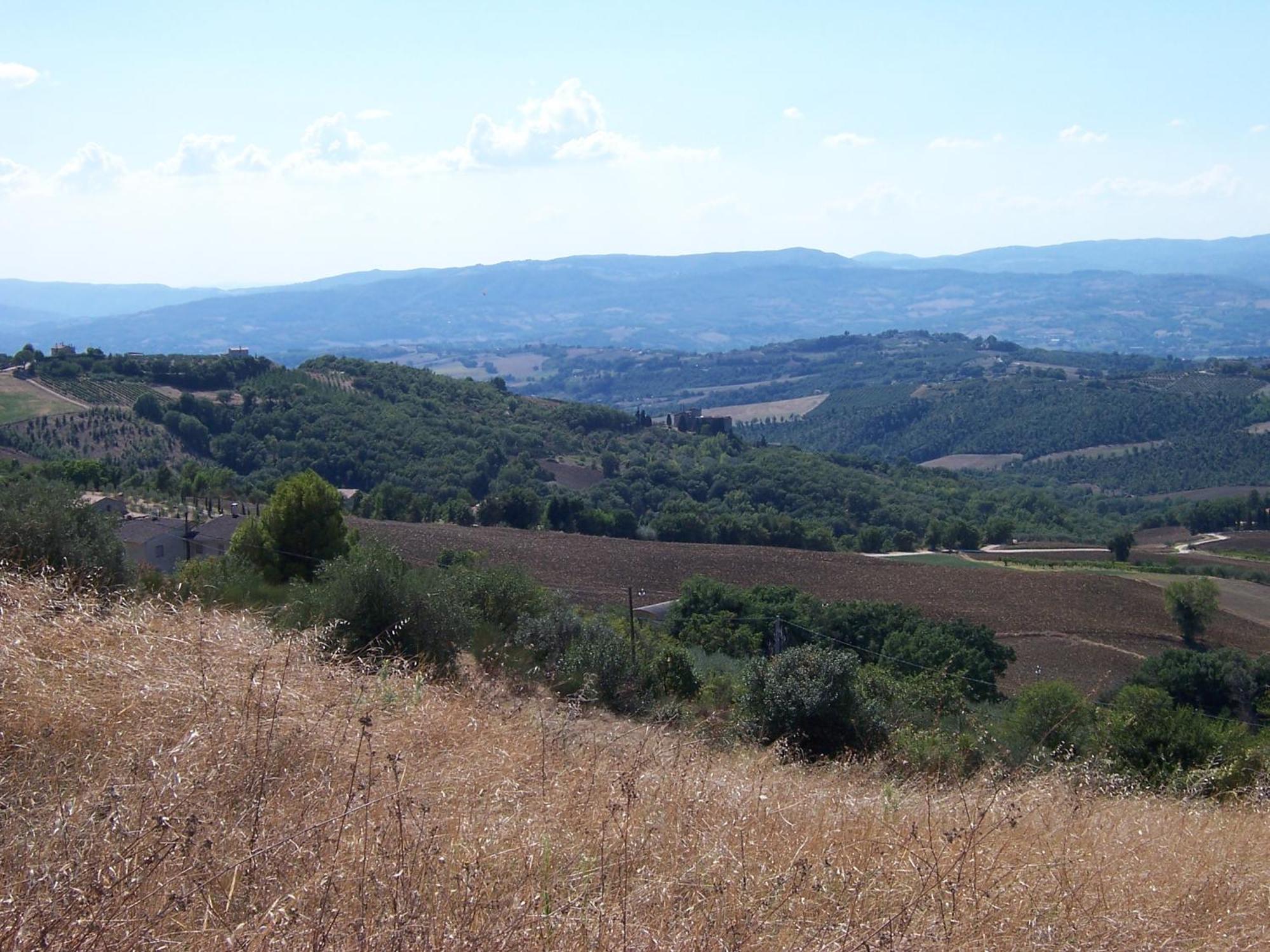 Agriturismo La Casella San Terenziano Luaran gambar